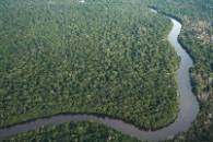 Amazônia